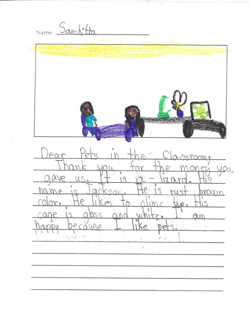 student pet art letter
