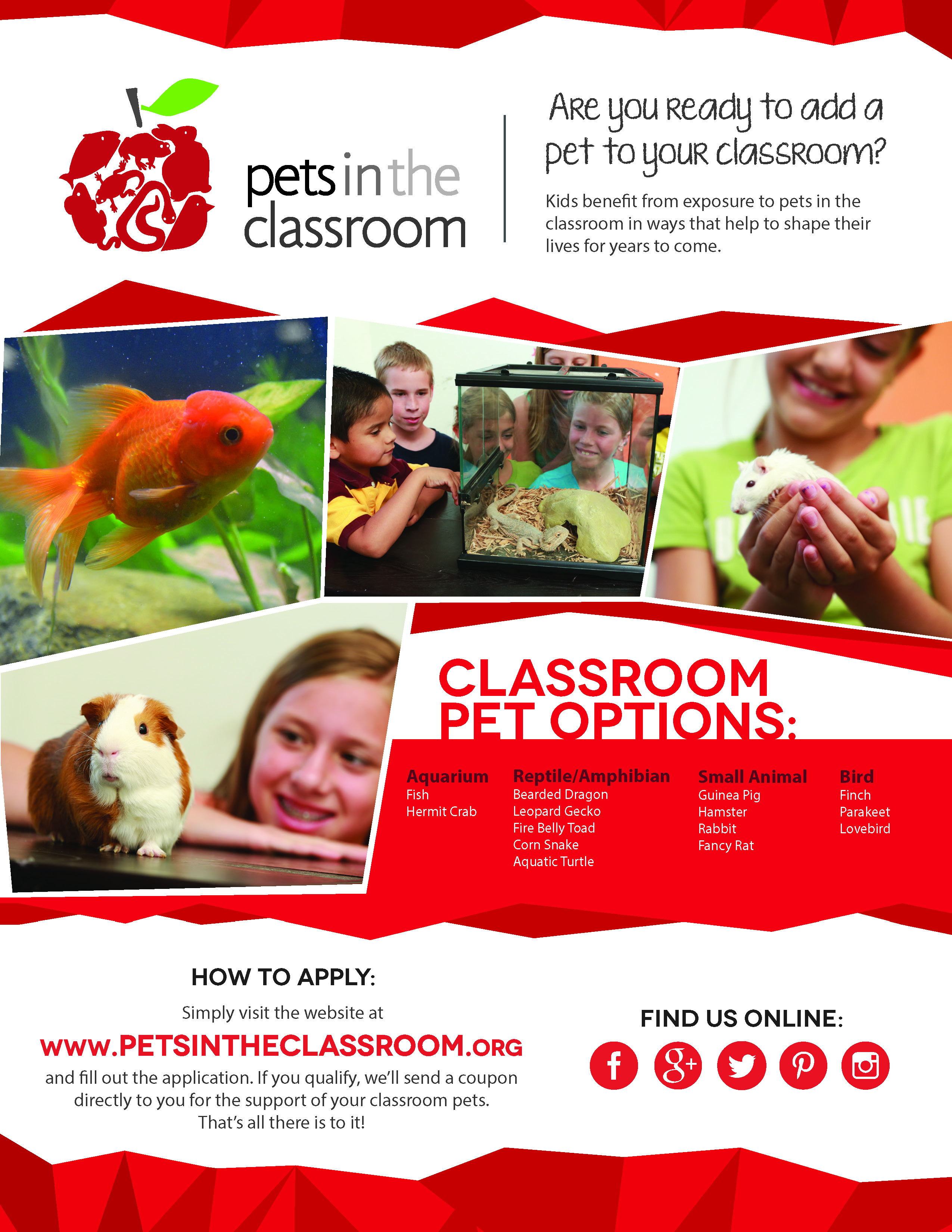 LuCorp FL PetsintheClassroom_Page_1