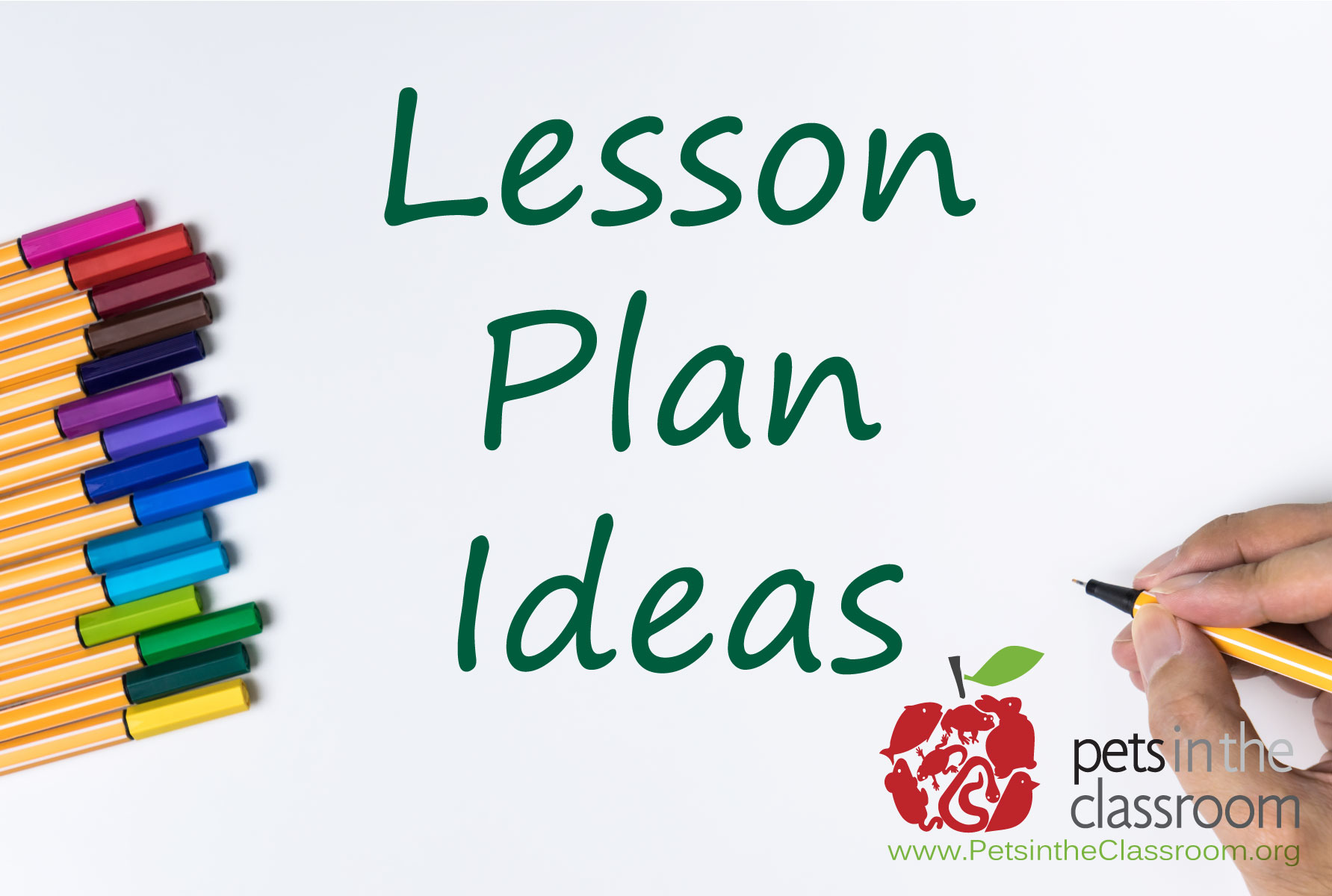 6 Creative Ways to Enhance Curriculum with Classroom Pets | Education Grants 6 Creative Ways to Enhance Curriculum with Classroom Pets | Education Grants