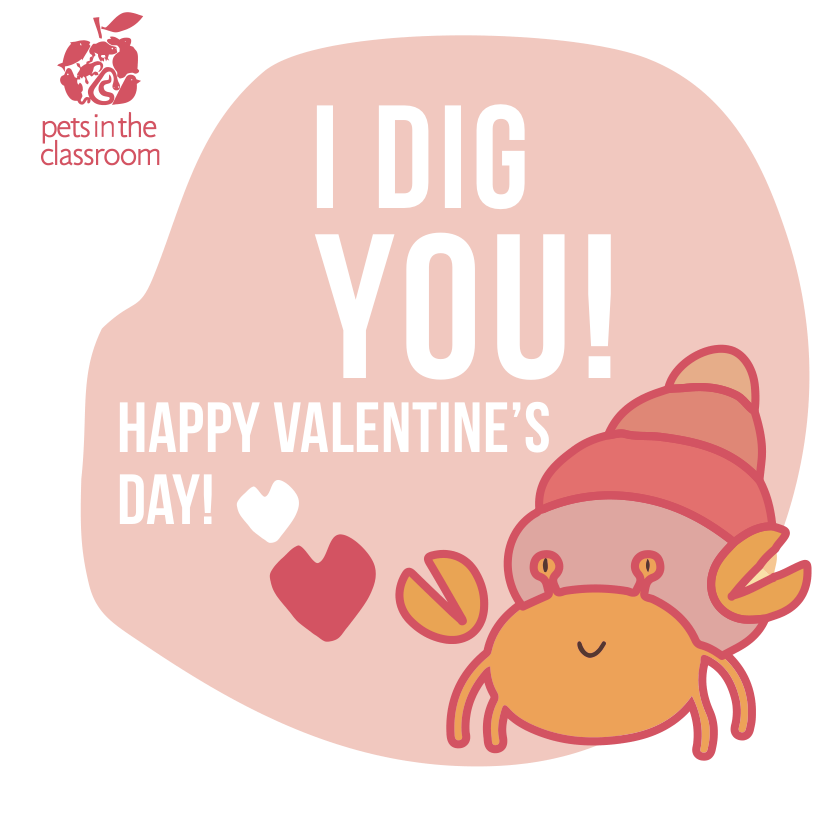 Hermit Crab printable valentine