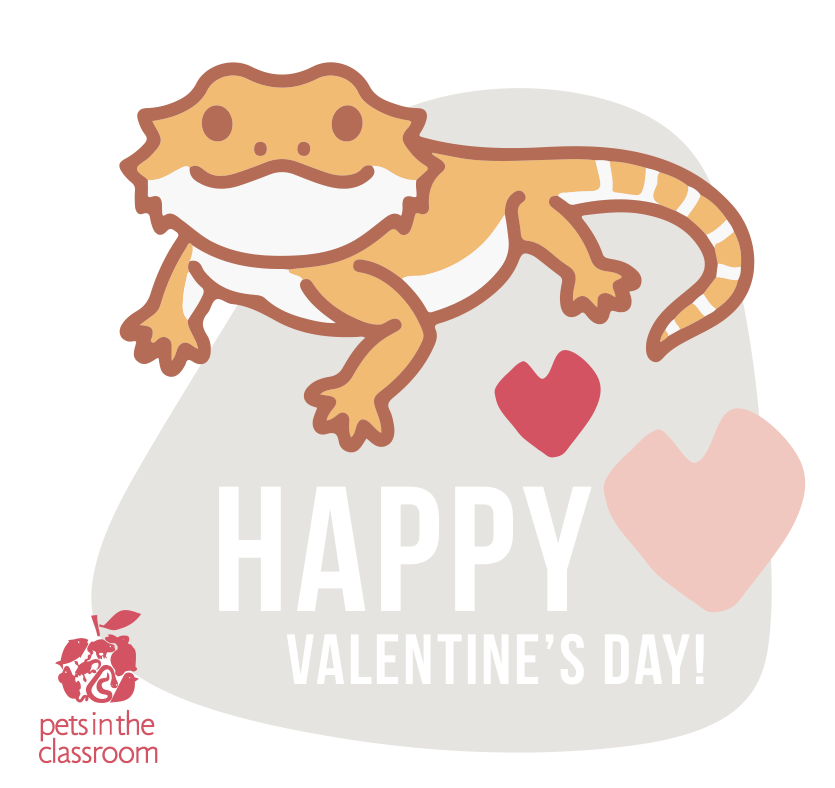 bearded dragon printable valentine