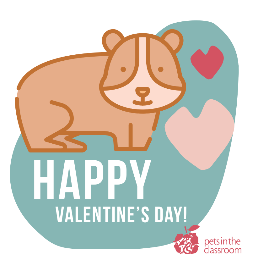 Guinea Pig printable valentine