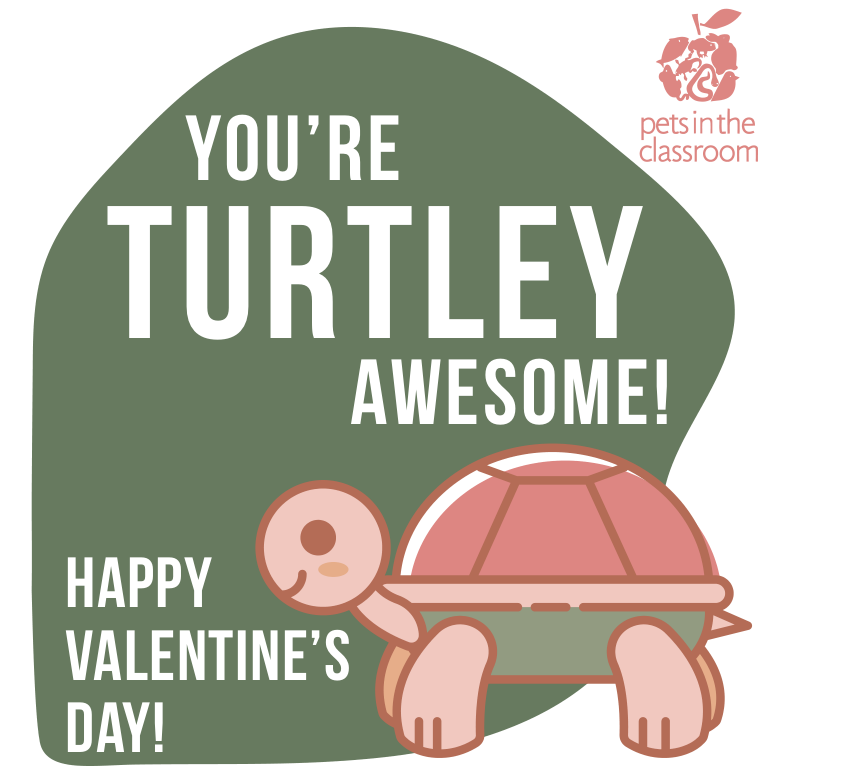 turtle printable valentine