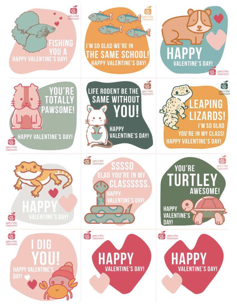 Class pet printable valentines