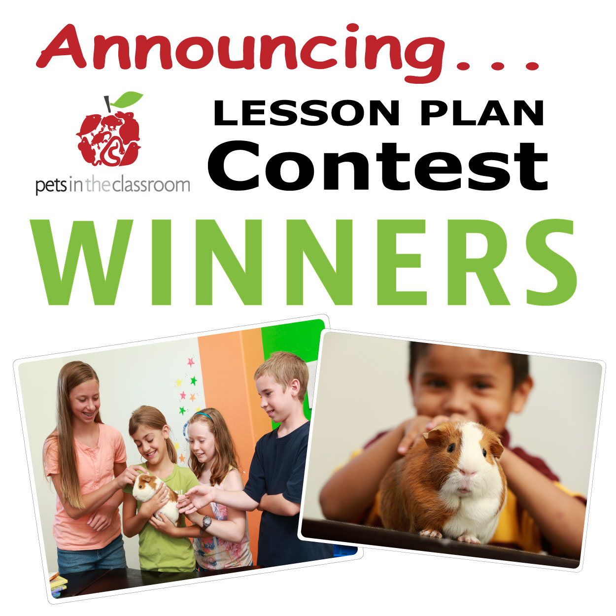 Lesson Plan Contest Winners