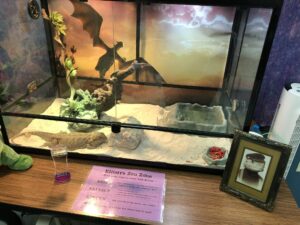 Pets in the classroom habitat contest