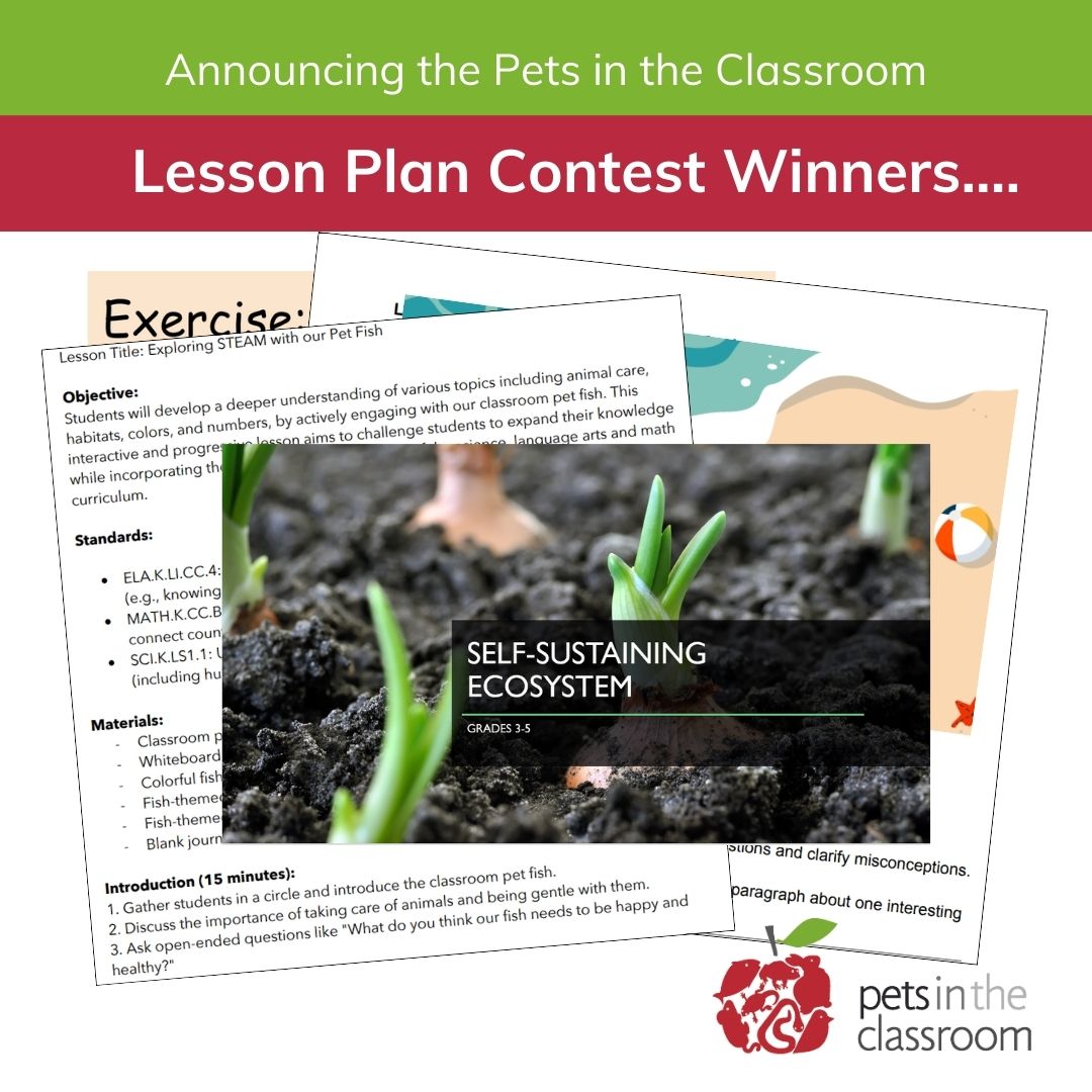7th Annual Lesson Plan Contest Winners