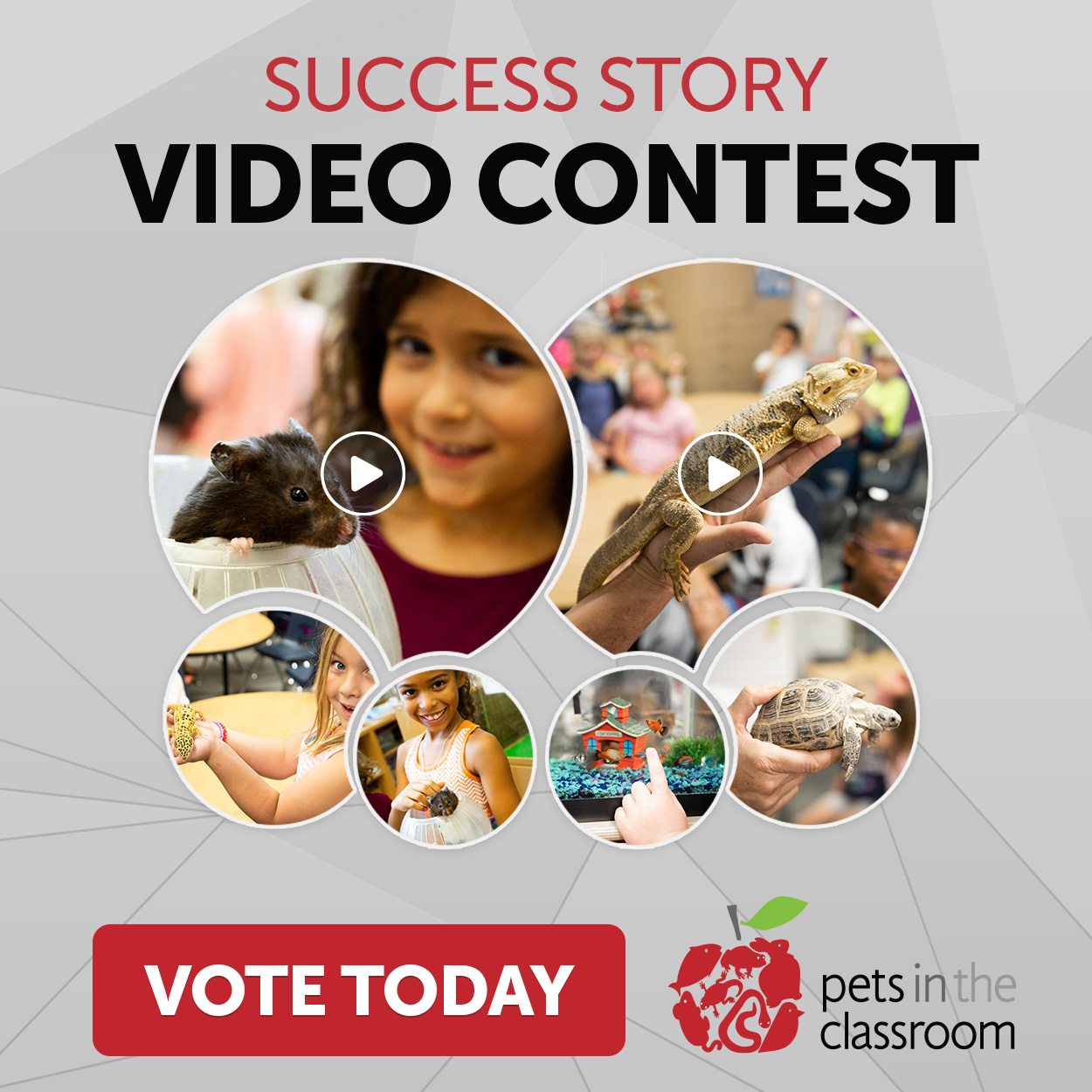 Cast Your Vote in the Pets in the Classroom Video Contest!