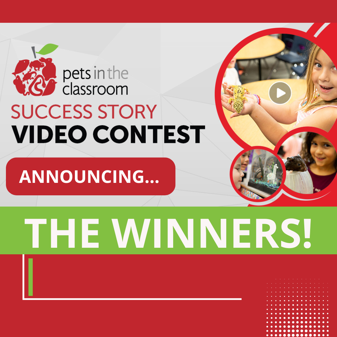 2024 Success Story Video Contest Winners