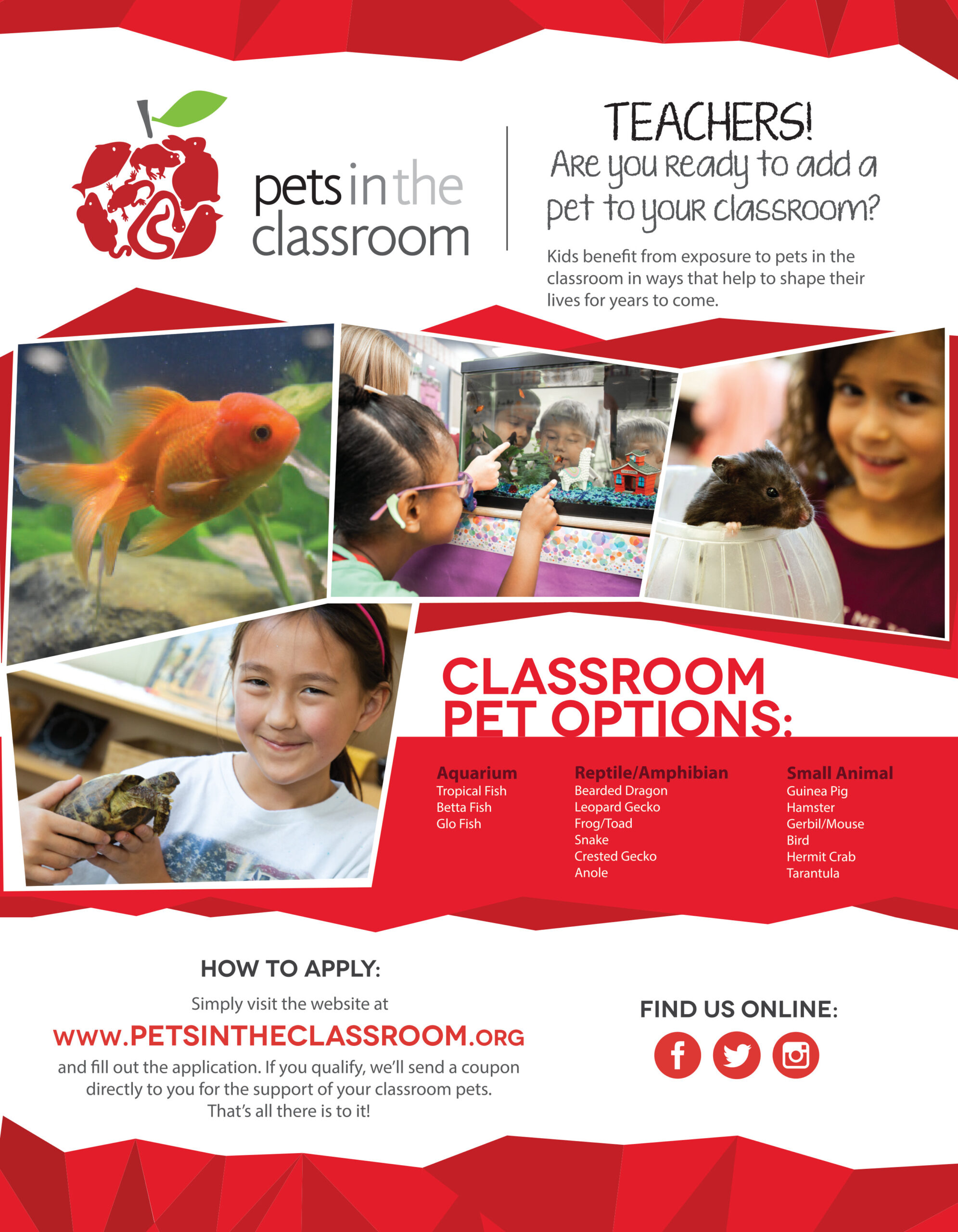 Pets in the Classroom Flyer