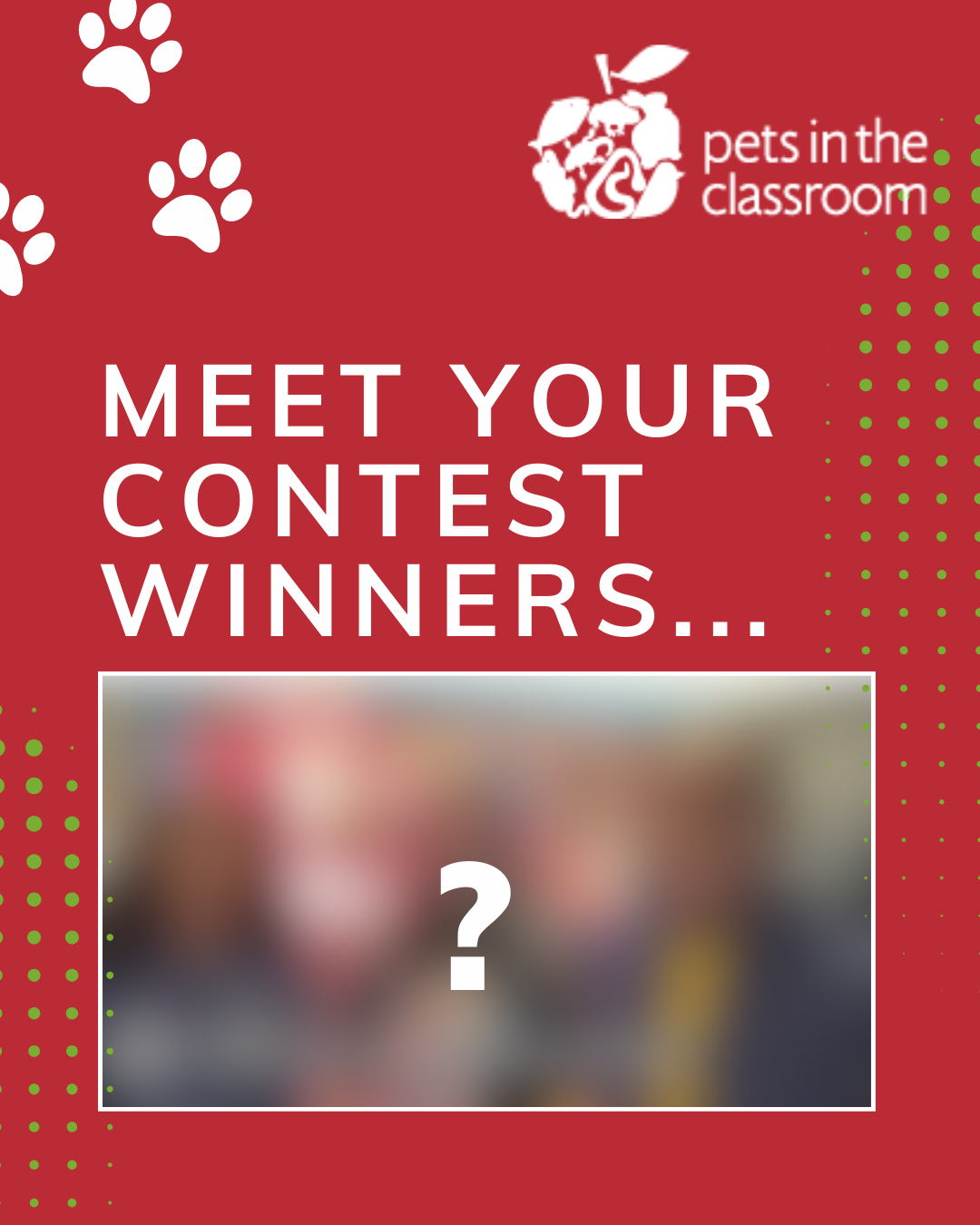Announcing the Video Contest Winners