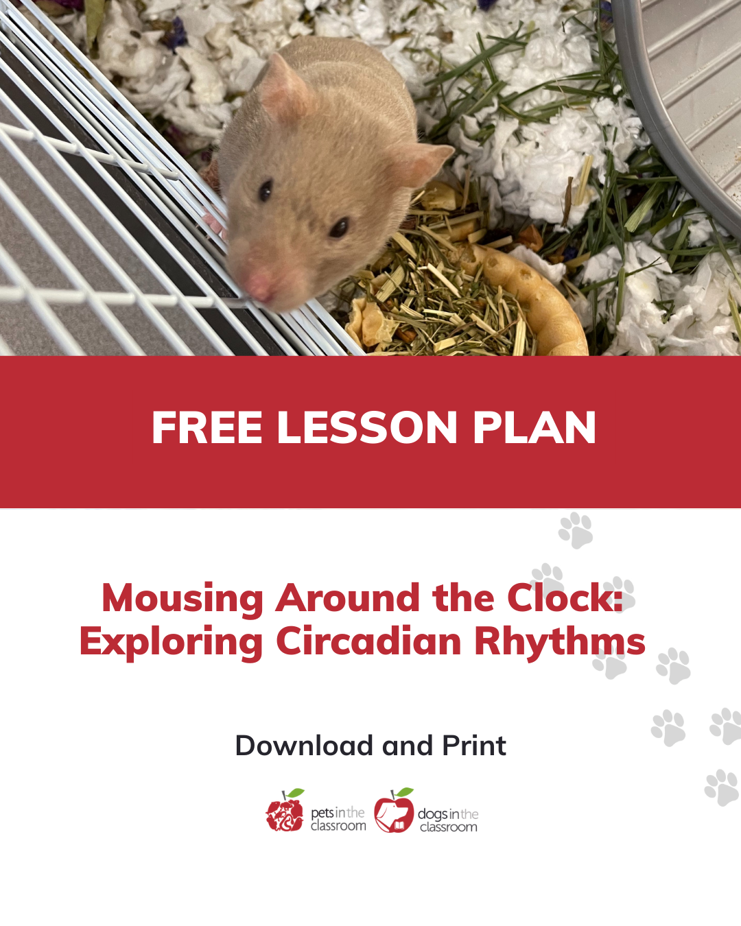 Exploring Circadian Rhythm in the Classroom