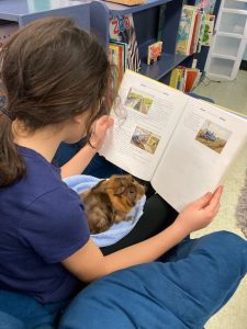 reading to class pet