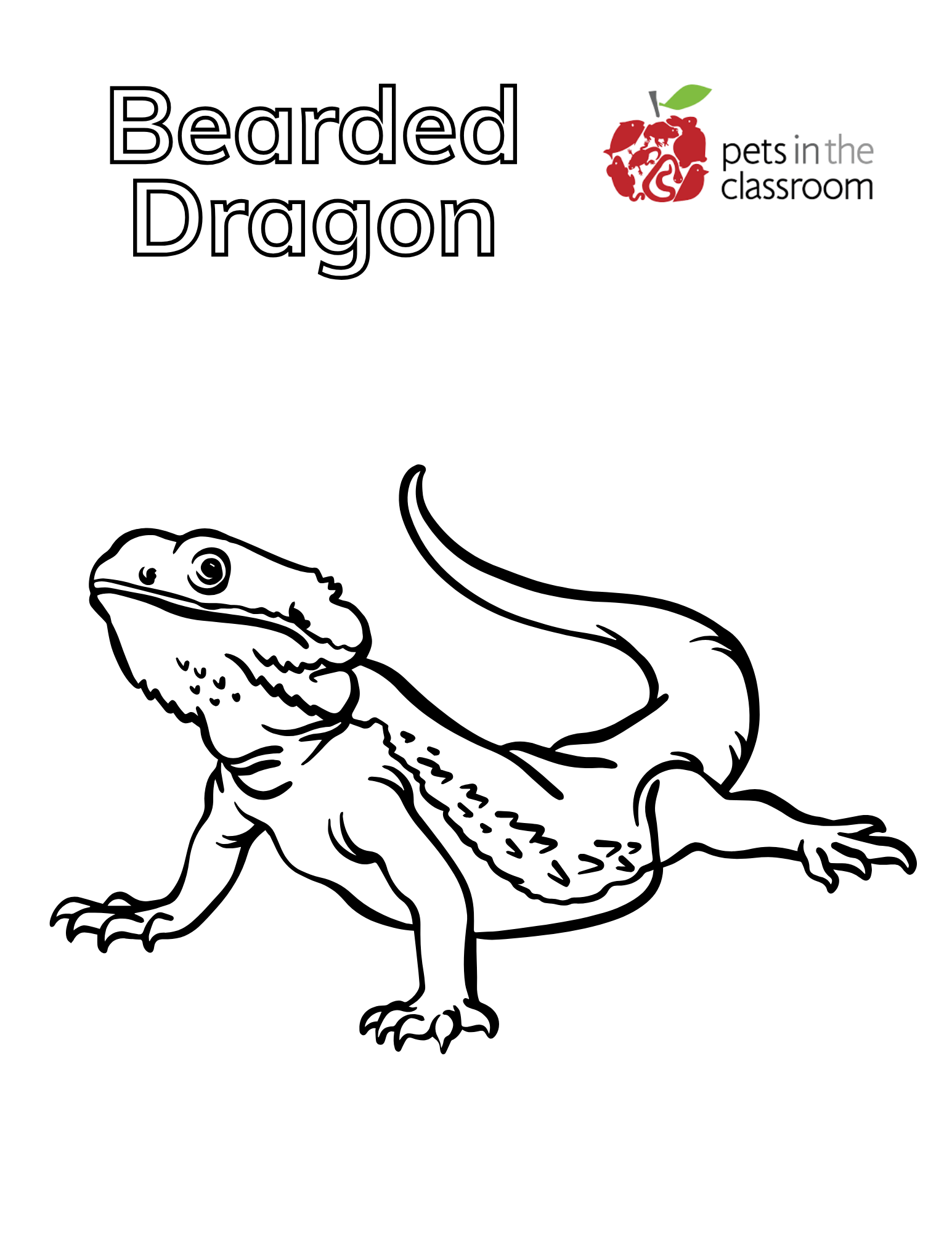 bearded dragon coloring sheet