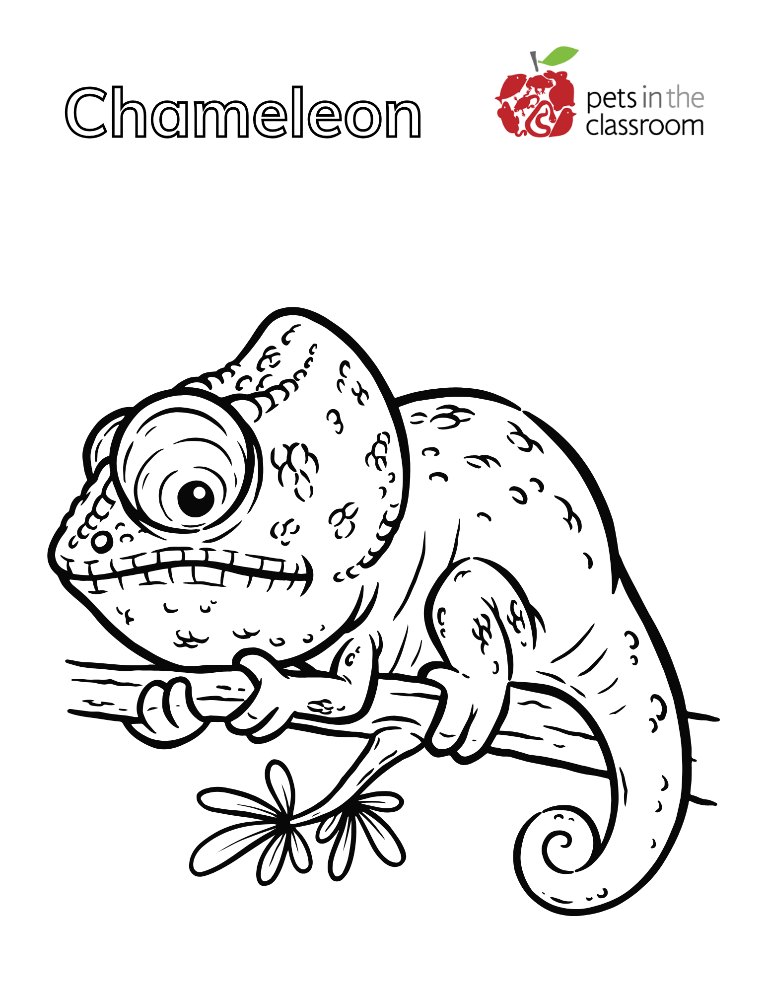Chameleon coloring Sheet