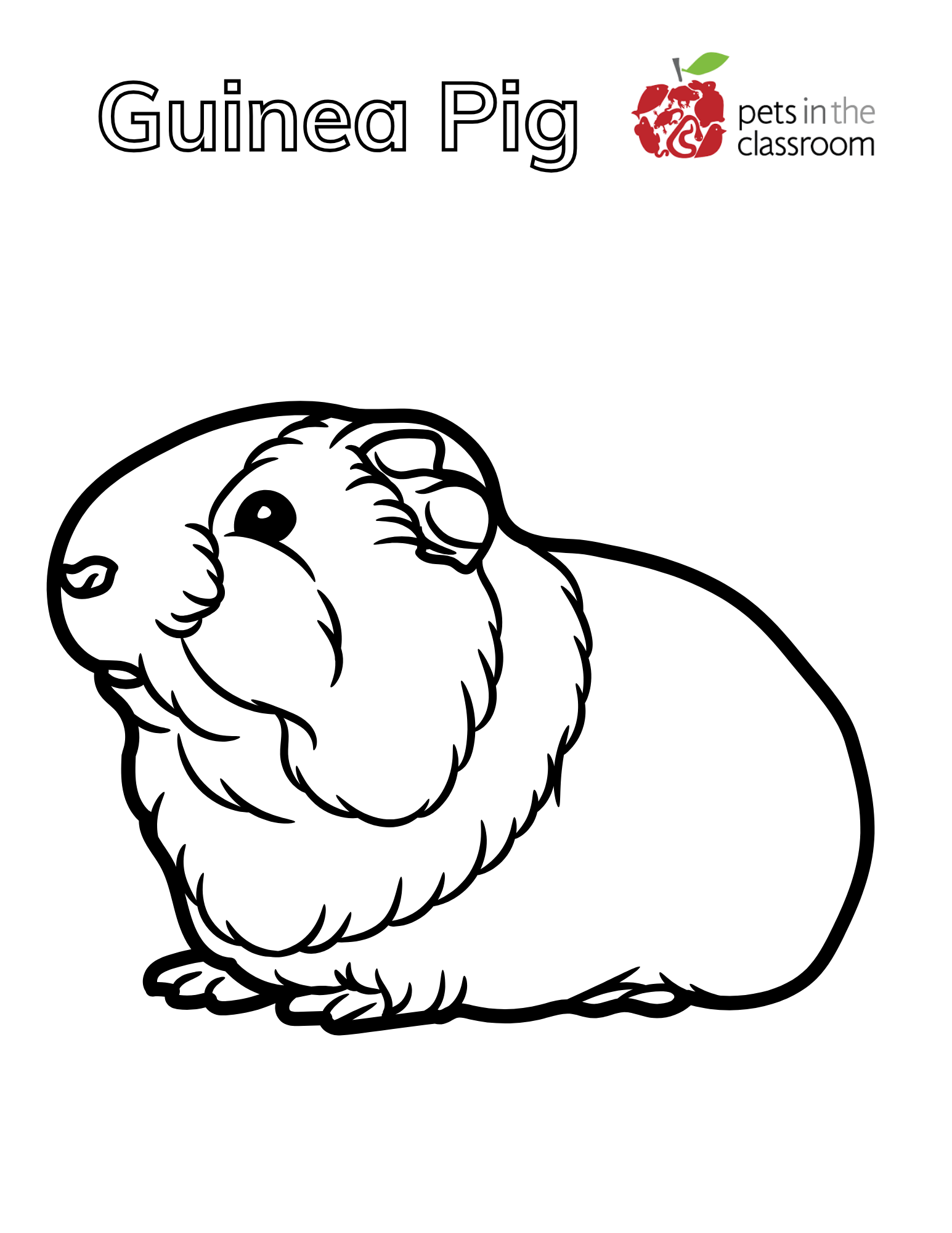 guinea pig coloring sheet