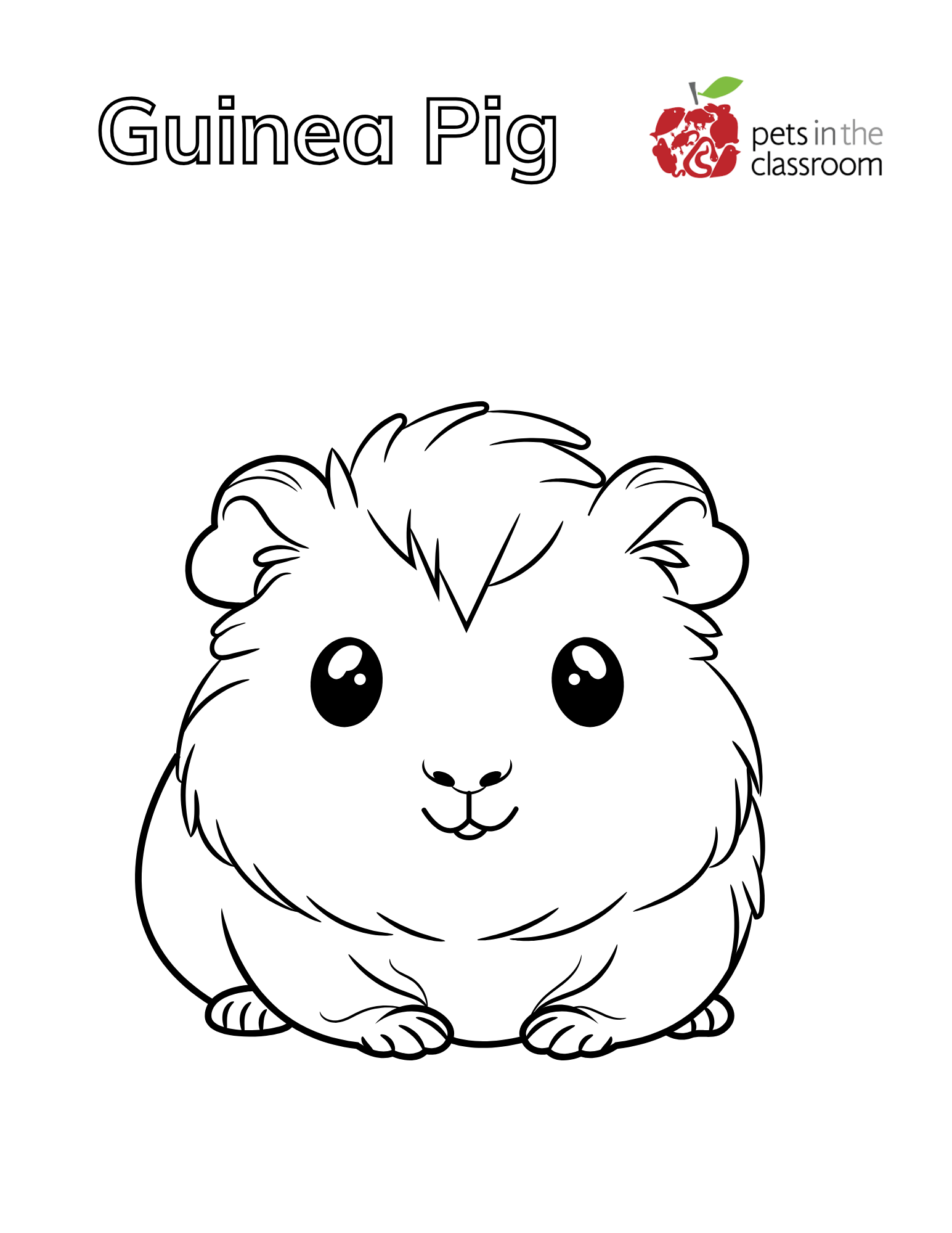 guinea pig coloring sheet