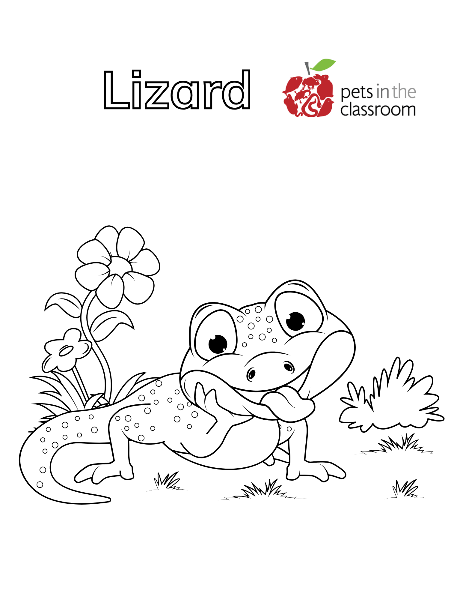 Lizard coloring sheet