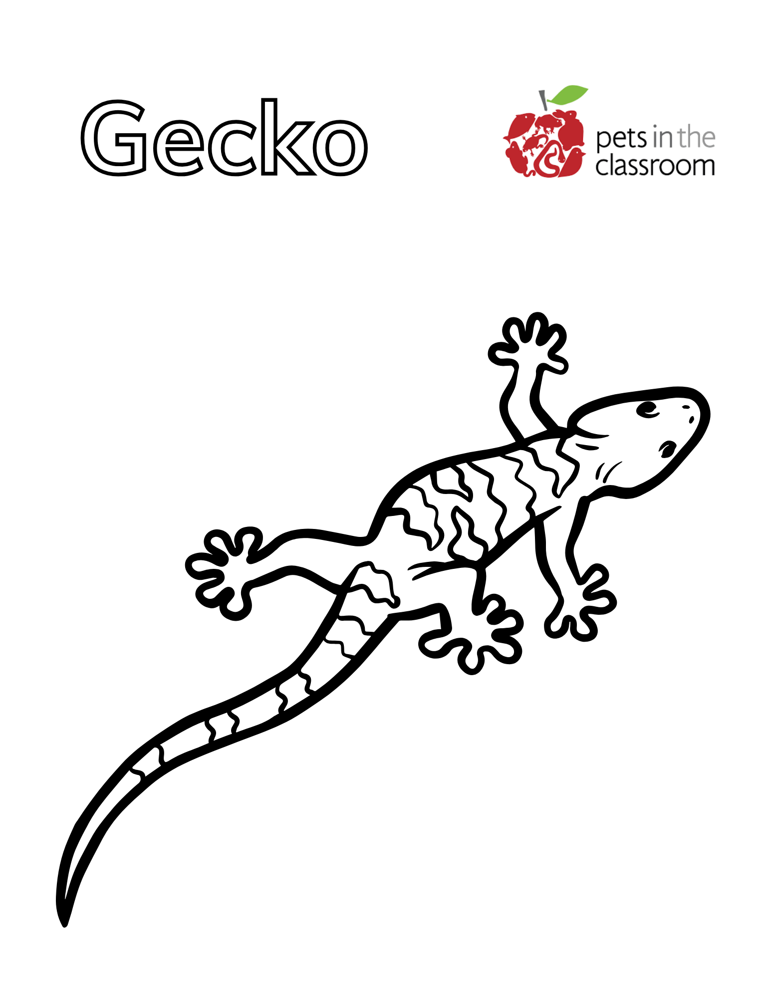 gecko coloring sheet