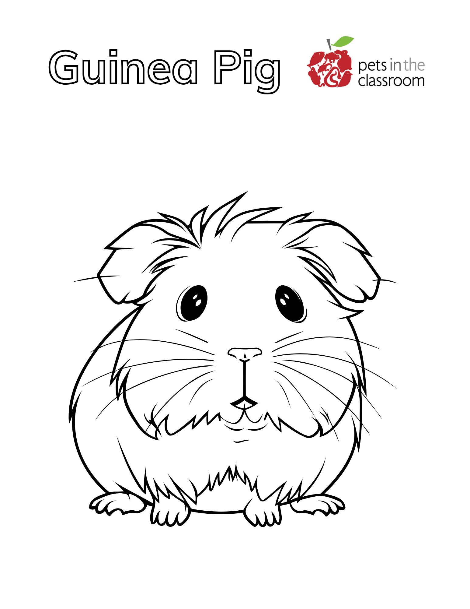 guinea pig coloring sheet