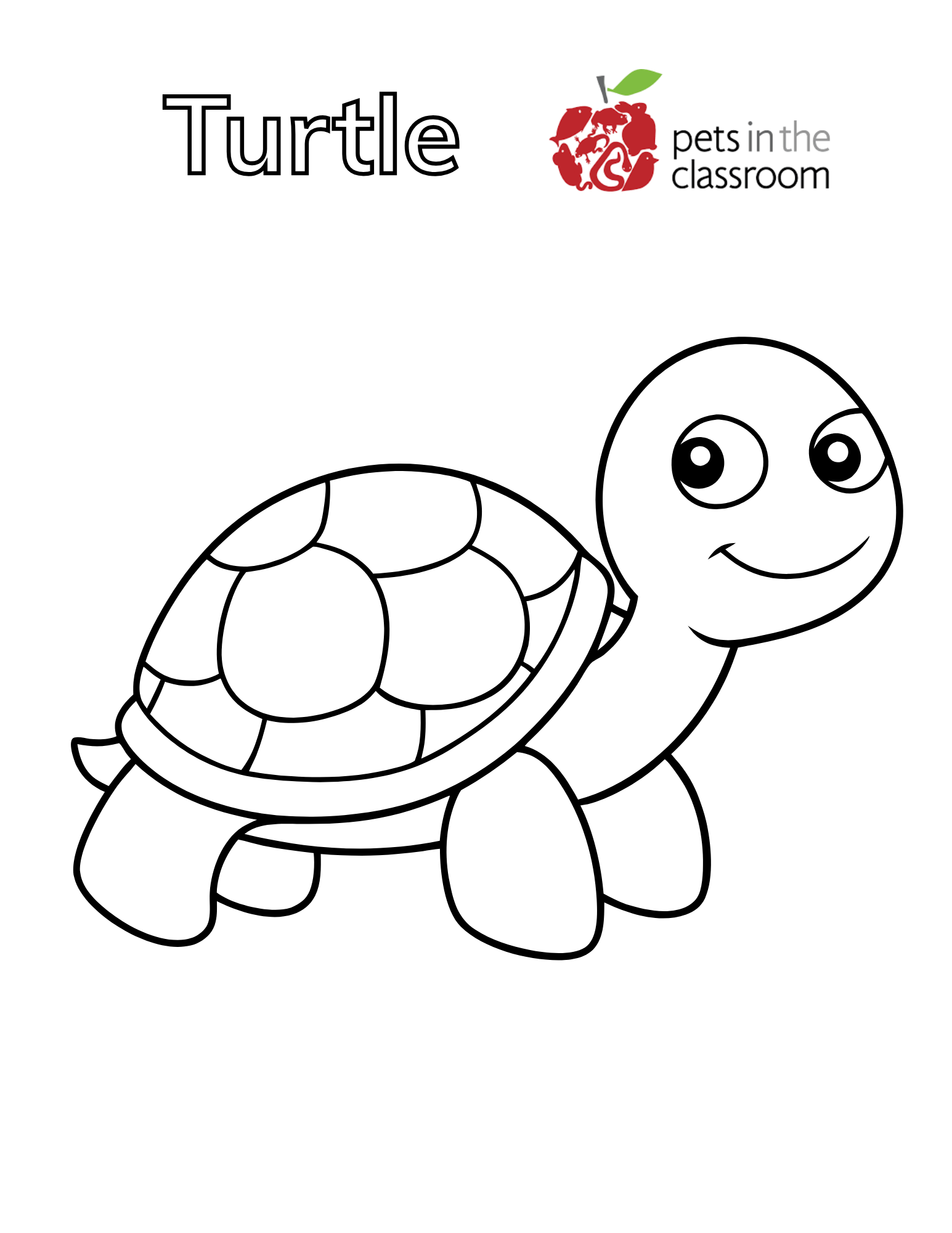 turtle coloring sheet