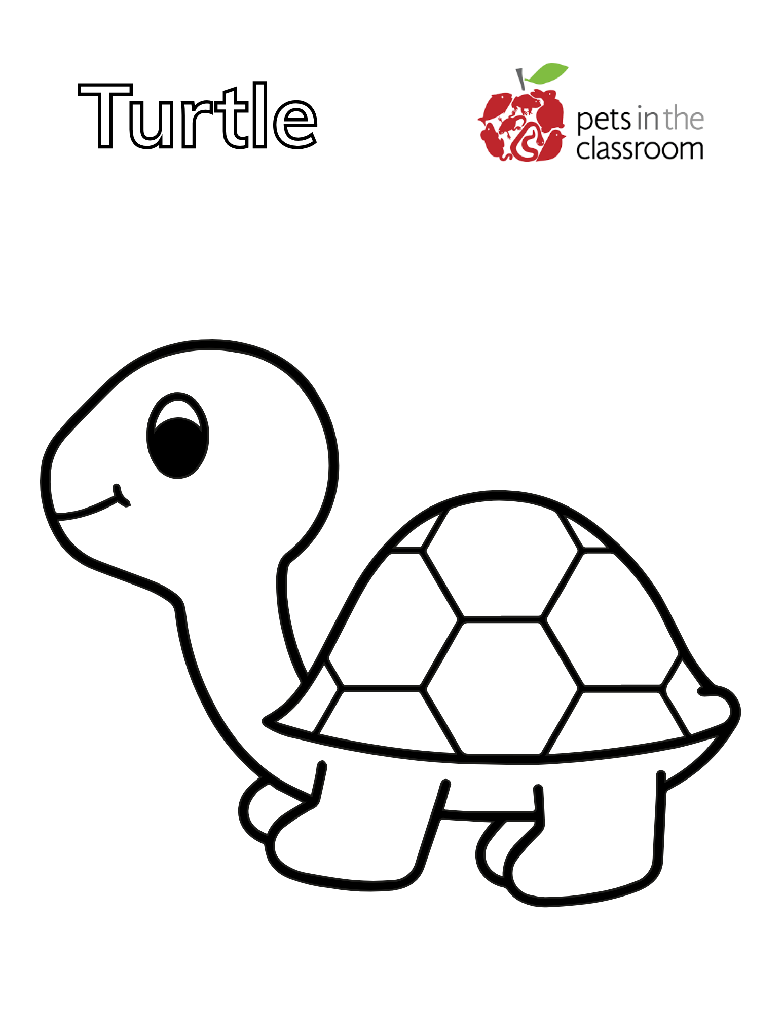 turtle coloring sheet