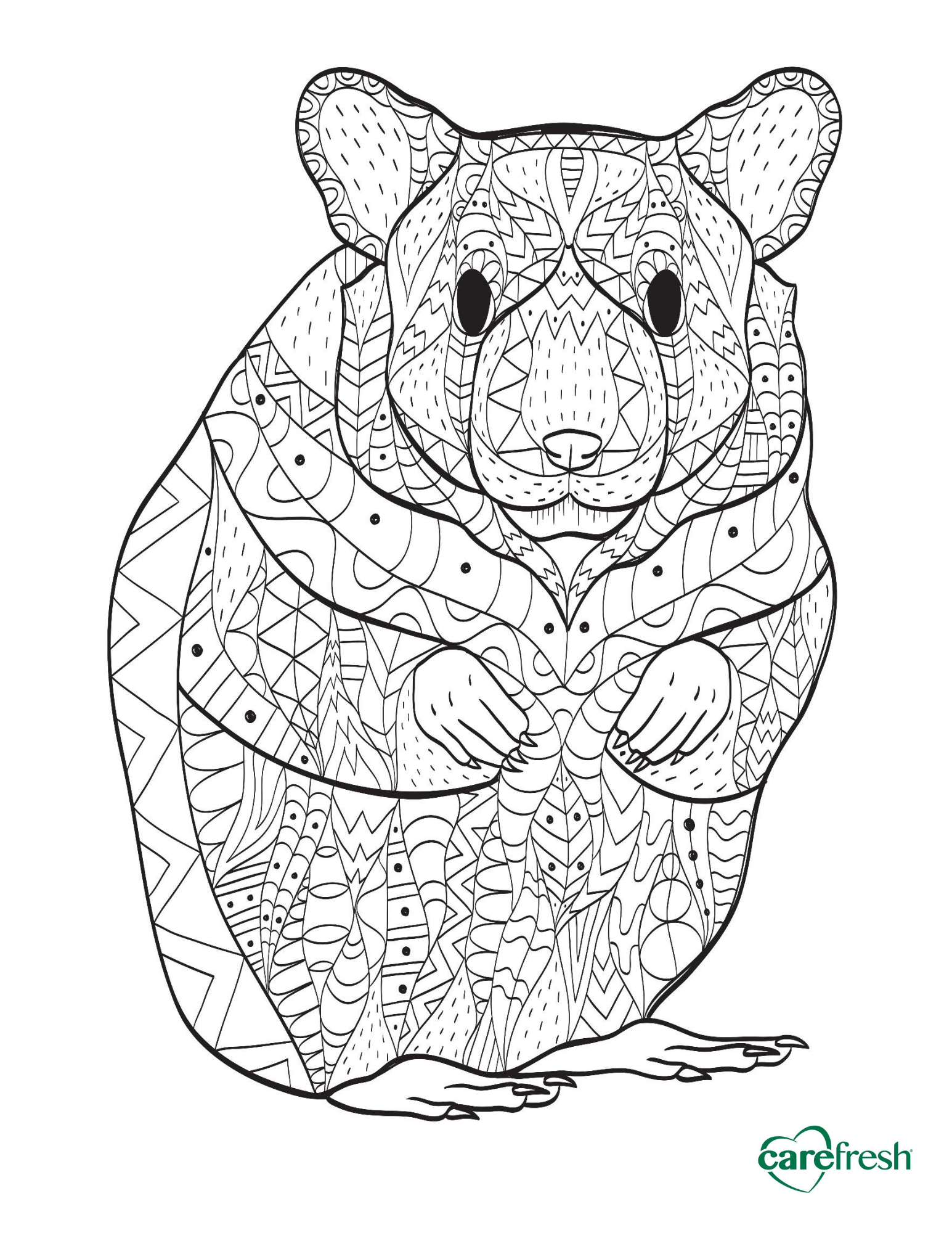 guinea pig coloring sheet