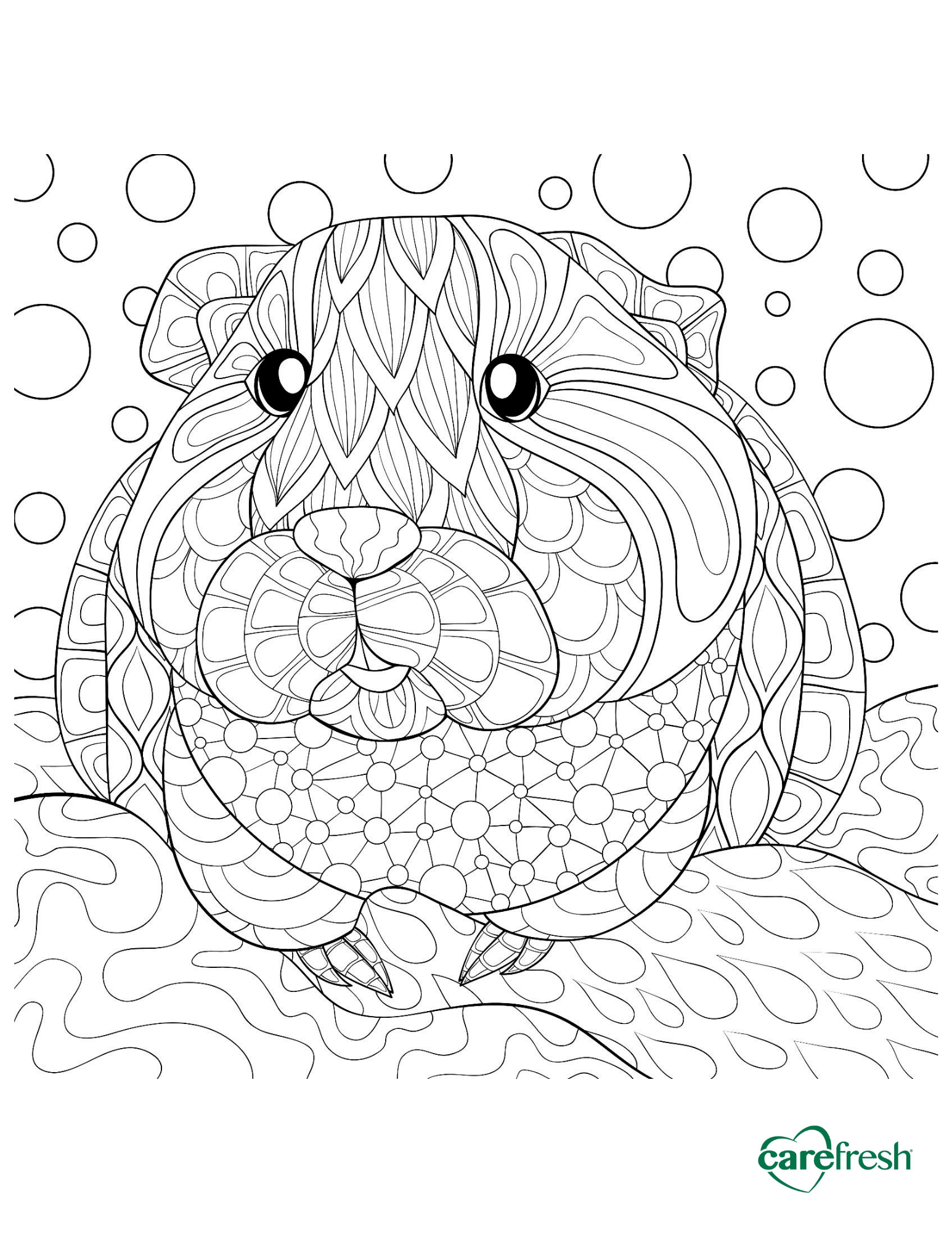 guinea pig coloring sheet