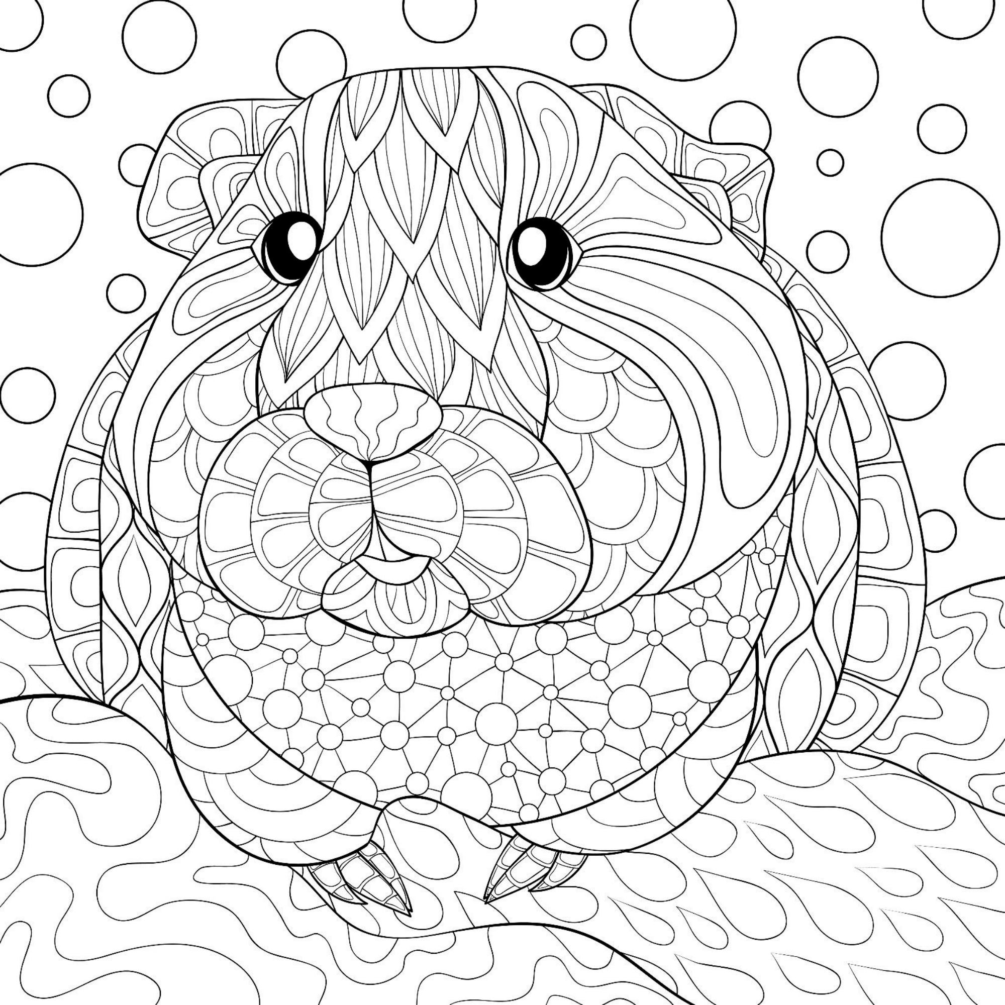 small animal coloring sheet