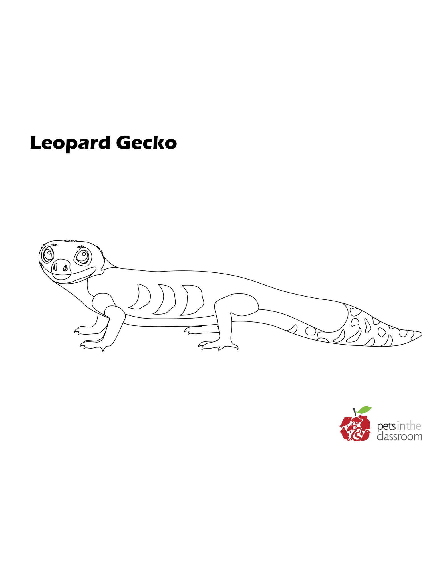 leopard gecko coloring sheet