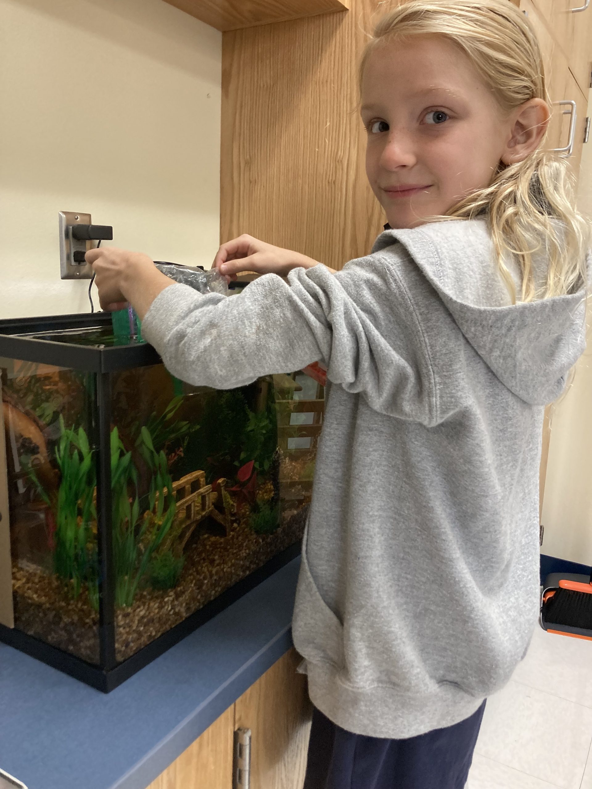 Classroom Jobs That Build Responsibility, Teamwork, and Confidence