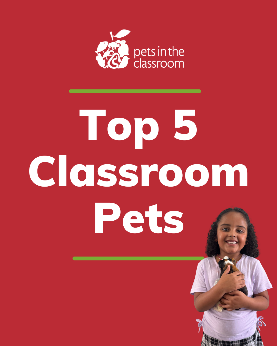 Ready for a Class Pet? Here Are Teachers’ Proven Choices