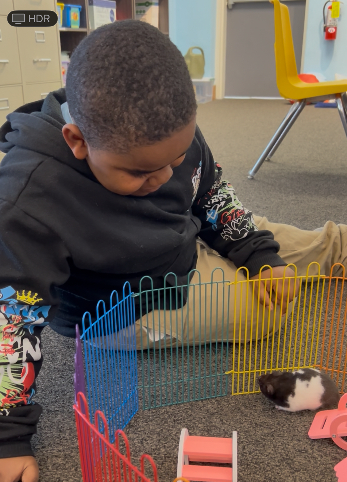 How Classroom Pets Support Student Mental Health